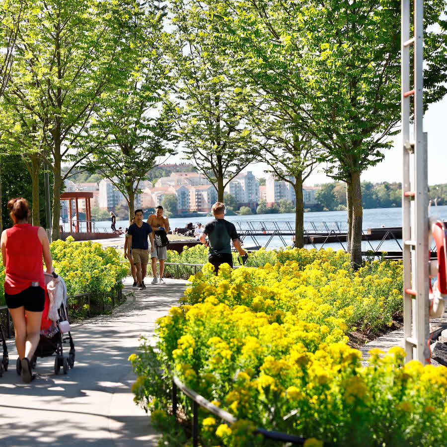 Perfect waterfront promenade for lunch.