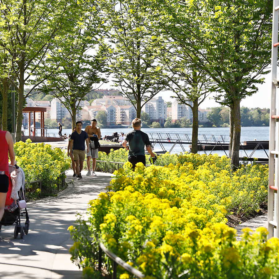 Promenera längs vattnet på lunchen...